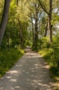 Lane through the woods