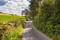 Lanes above Sedbergh in Cumbria Royalty Free Stock Photo