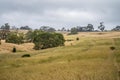 laneway on a livestock farm in a gateway on a agriculure farm in austrlian in a dry summer Royalty Free Stock Photo