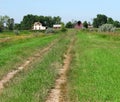 Laneway to old homestead. Royalty Free Stock Photo