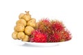 Lang sat or Long kong&Rambutan isolated on white background. Royalty Free Stock Photo