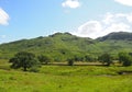 Langdale, Lake District UK Royalty Free Stock Photo