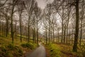 Langdale Valley Footpath