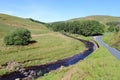 Langden Brook, Trough of Bowland, Lancashire