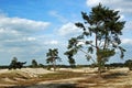 Lange Duinen Royalty Free Stock Photo