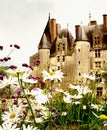 Langeais castle -Loire valley