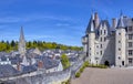 Langeais Castle and pretty town, France