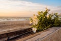 Langeron beach in Odessa in the early morning Royalty Free Stock Photo