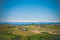 Langhe with Alps mountains and green grapes with blue clowdy sky