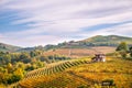 Langhe Barolo vineyards hills landscape, Piedmont, Italy. Royalty Free Stock Photo