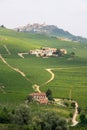 Langhe district, Italian vineyards