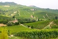 Langhe district, Itallian vineyards