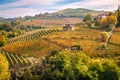 Langhe e Roero vineyards hills autumn landscape Royalty Free Stock Photo