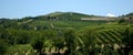 Langhe hills - Colline in Langa