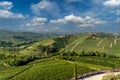 Landscape of vineyards between the villages of Serralunga Alba and Costiglione Falletto