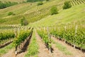 Langhe Hills, Piedmont Royalty Free Stock Photo