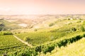 Langhe, hilly wine region in Piedmont, Italy