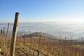 Langhe and Roero hills, Piemonte, Italy Royalty Free Stock Photo