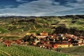 Langhe - View of the town of Barolo and its vineyards. Royalty Free Stock Photo