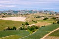 Langhe vineyards landscape near Barolo in springtime. Viticulture, Piedmont, Italy, Unesco heritage. Dolcetto, Barbaresco wine Royalty Free Stock Photo