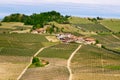 Langhe vineyards landscape near Barolo in springtime. Viticulture, Piedmont, Italy, Unesco heritage. Dolcetto, Barbaresco wine Royalty Free Stock Photo