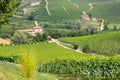 Langhe wine district, Italy