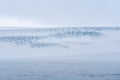 Langjokull Glacier ice crevice crevasse high up deep blue ice