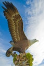 Langkawi eagle square Royalty Free Stock Photo