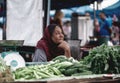 Elderly woman greenery seller at the market. Unidentified local seller or Asian Royalty Free Stock Photo