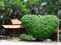 Langkawi malaysia view,bushes in the form of a heart