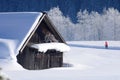 Cross-country skiing in the winter wonderland Gosau in the Salzkammergut