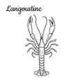 Langoustine. Crustaceans. Seafood.