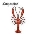 Langoustine. Crustaceans. Seafood.