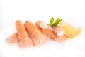 Langoustine Royalty Free Stock Photo