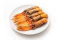 Langoustine (Nephrops norvegicus) isolated on a white studio ba Royalty Free Stock Photo