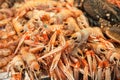 Langoustines at fish market Royalty Free Stock Photo