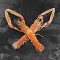 Langoustines Royalty Free Stock Photo