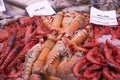 Langoustines and prawns at fish market Royalty Free Stock Photo