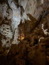 Langs Cave, Mulu National Park Royalty Free Stock Photo