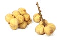 Langsat fruit Royalty Free Stock Photo