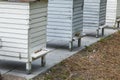 Langstroth hive filled with bees which is used for honey production