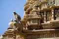 Langur (Colobinae), Khajuraho Temples.