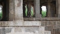 Langur monkeys among the ruins of the ancient city of Vijayanagar in Hampi, Karnataka.