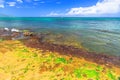 Laniakea Beach nature reserve