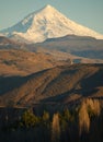 lanin volcano, patagonia Royalty Free Stock Photo