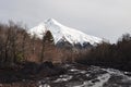 Lanin volcano, Patagonia Royalty Free Stock Photo