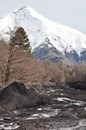 Lanin volcano, Patagonia Royalty Free Stock Photo