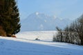 Lanorama landscape of the mountains in austria europe