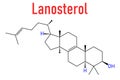 Lanosterol molecule. Investigated for treatment of cataract. Skeletal formula. Royalty Free Stock Photo