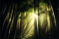 Lanscape of bamboo tree in tropical rainforest Royalty Free Stock Photo